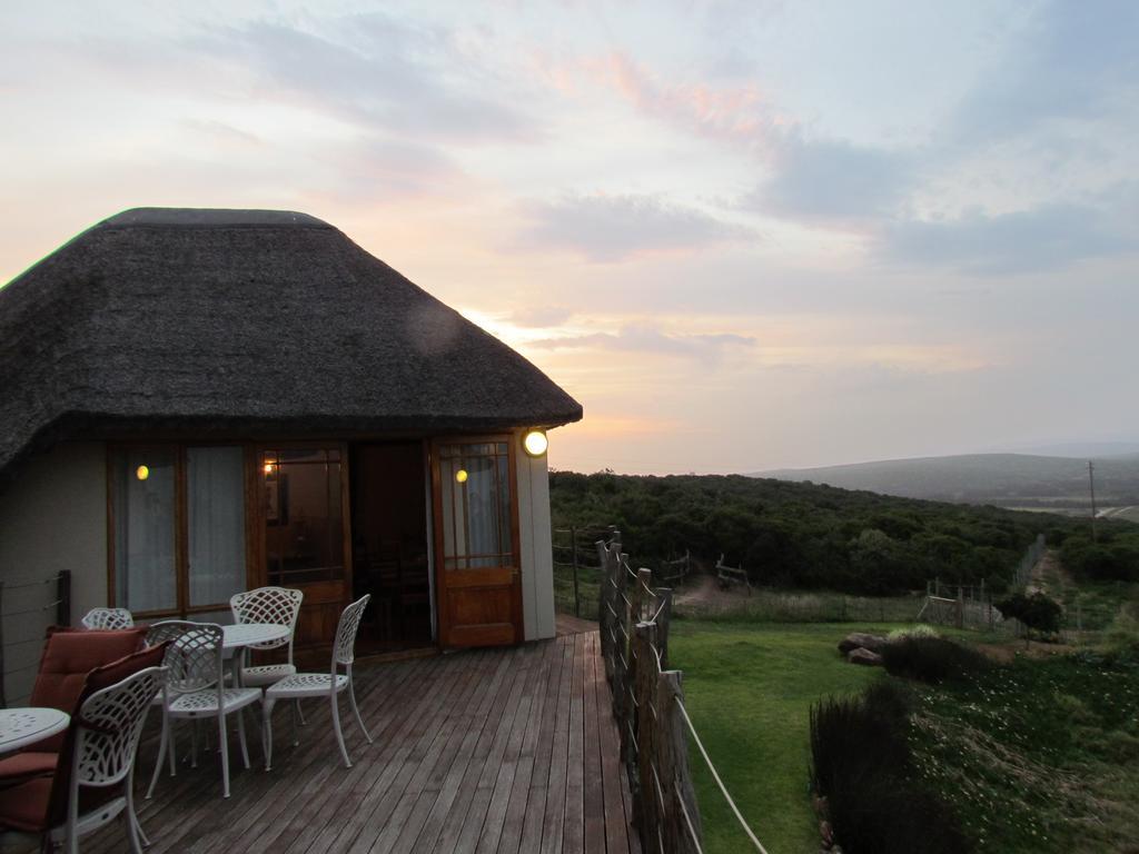 Vila Addo Dung Beetle Guest Farm Exteriér fotografie