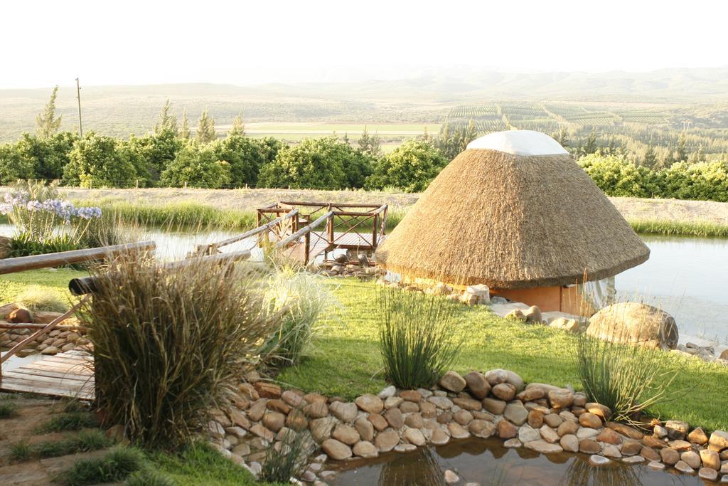 Vila Addo Dung Beetle Guest Farm Exteriér fotografie