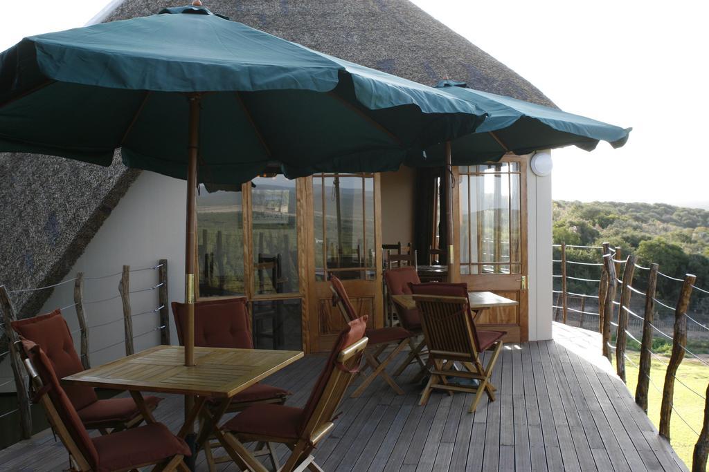 Vila Addo Dung Beetle Guest Farm Exteriér fotografie