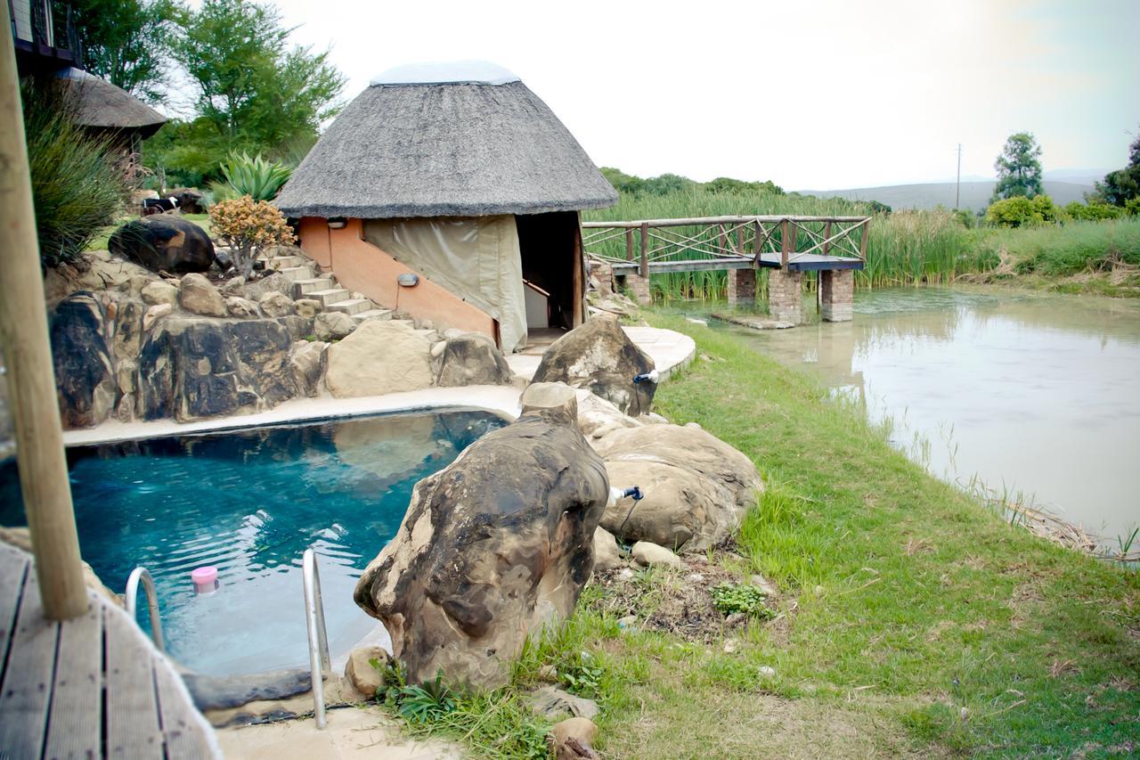 Vila Addo Dung Beetle Guest Farm Exteriér fotografie