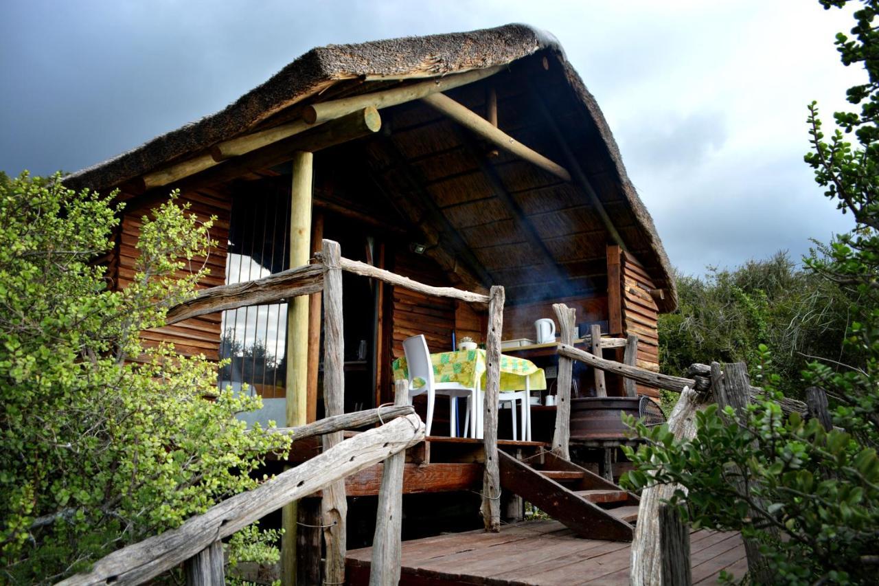 Vila Addo Dung Beetle Guest Farm Exteriér fotografie